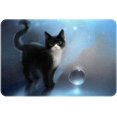 Black Cat, Indoor Door Mat Durable Front Door Mats Entryway Rug Non