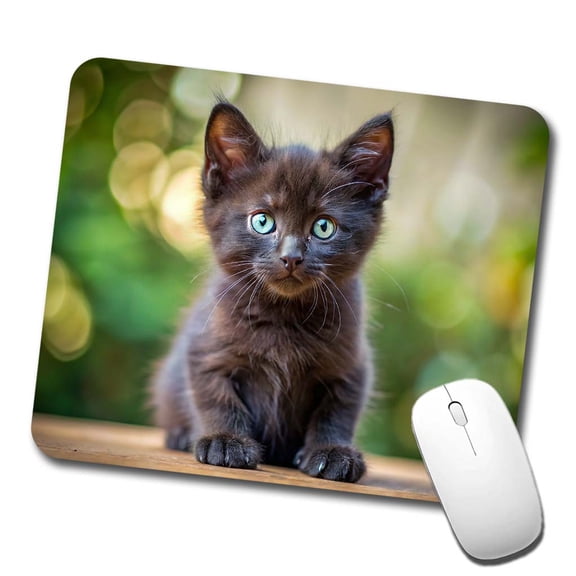 Black Cat Kitten Photo Mouse Pad Low Profile Gaming Mat