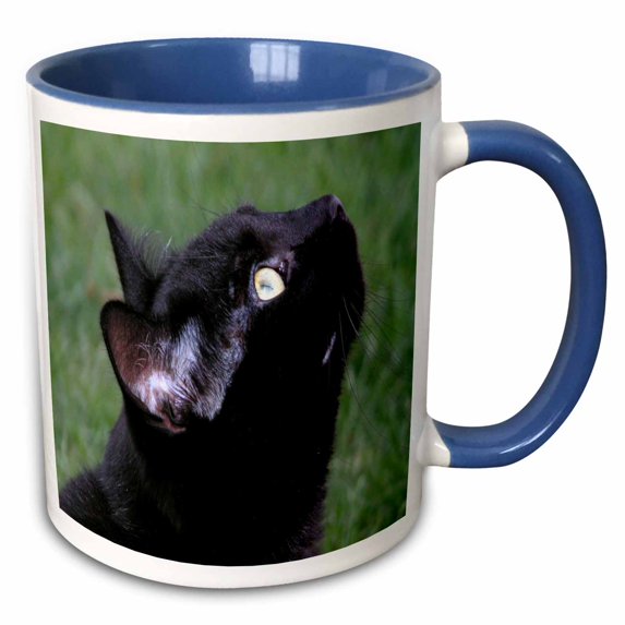 3drose, Black Cat Looking Up, 11oz Two-tone Blue Mug