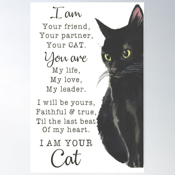 Black Cat Lovers Poster Wall Art, Modern Wall Decor For Living Room Bedroom, 8x12 UNFRAMED
