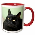 thumbnail image 1 of 3drose, Black Cat Portrait a Black Cat Posing Against a Green Wall with Striking Yellow Eyes, 15oz Two-tone Red Mug, 1 of 6