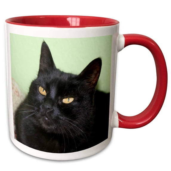 3drose, Black Cat Portrait a Black Cat Posing Against a Green Wall with Striking Yellow Eyes, 15oz Two-tone Red Mug