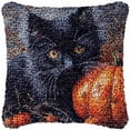 thumbnail image 1 of Black Cat & Pumpkin Latch Hook Pillow Kits for DIY Handmade Throw Pillow Cross Stitch Latch Hooking Pillowcase Rug Kits with Preprinted Color Pattern Canvas Crochet Yarn 17''X 17''(d4), 1 of 7