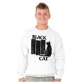 thumbnail image 1 of Black Cat Punk Rock Kitty Lovers Unisex Plus Fleece Graphic Sweatshirt Brisco Brands 3X, 1 of 5