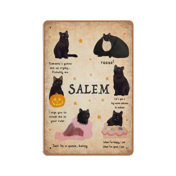 Black Cat Salem tin sign, Witch tin sign, Witches tin sign, Salem Sanctuary, Witch Home Decor, Wicca tin sign, Wicked Witch,Retro art,living room, country house, metal tin sign 8x12 inches