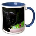 thumbnail image 1 of 3drose, Black Cat with Flower, 15oz Two-tone Blue Mug, 1 of 6