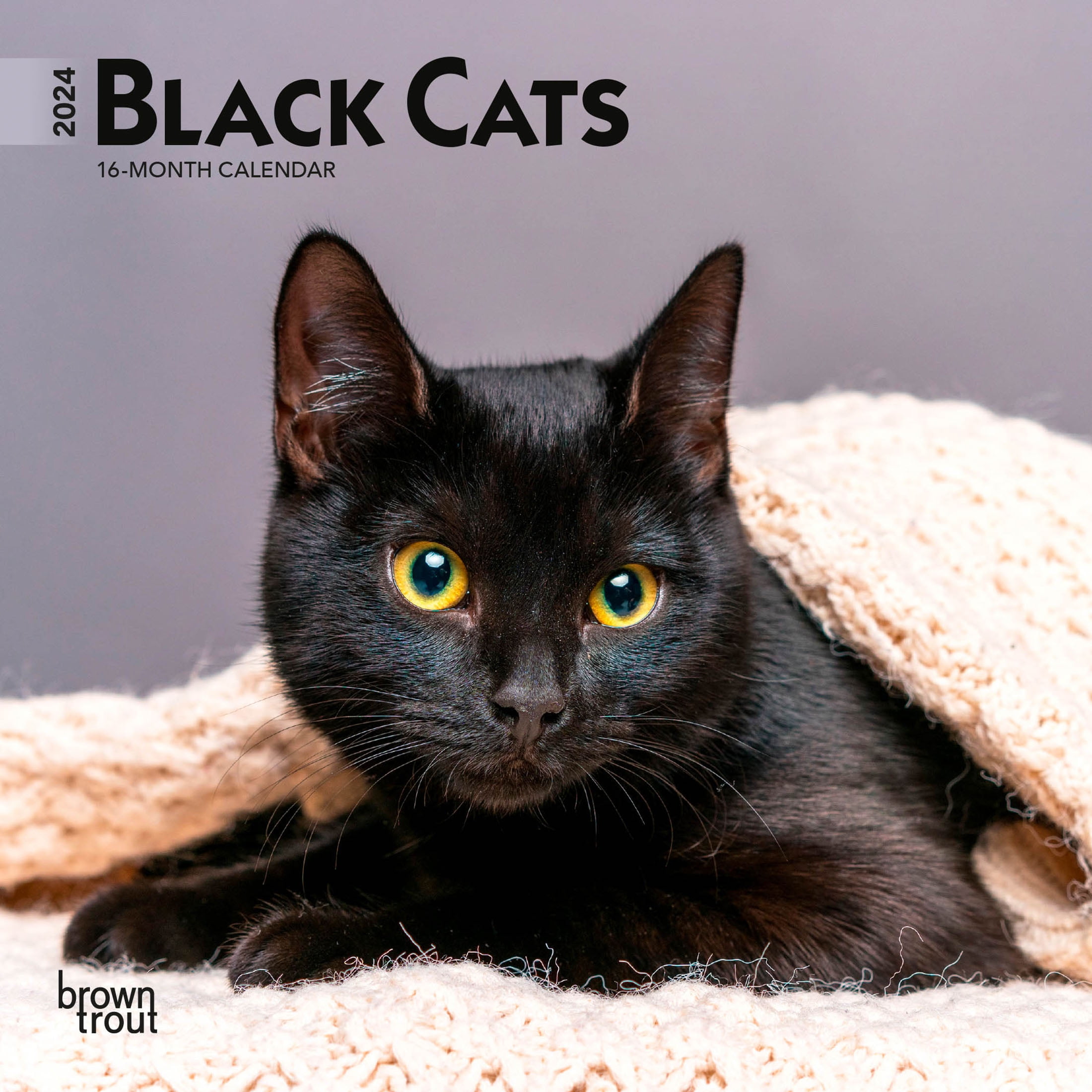 Black Cats 2024 7x14" (Hanging) Mini Wall Calendar BrownTrout