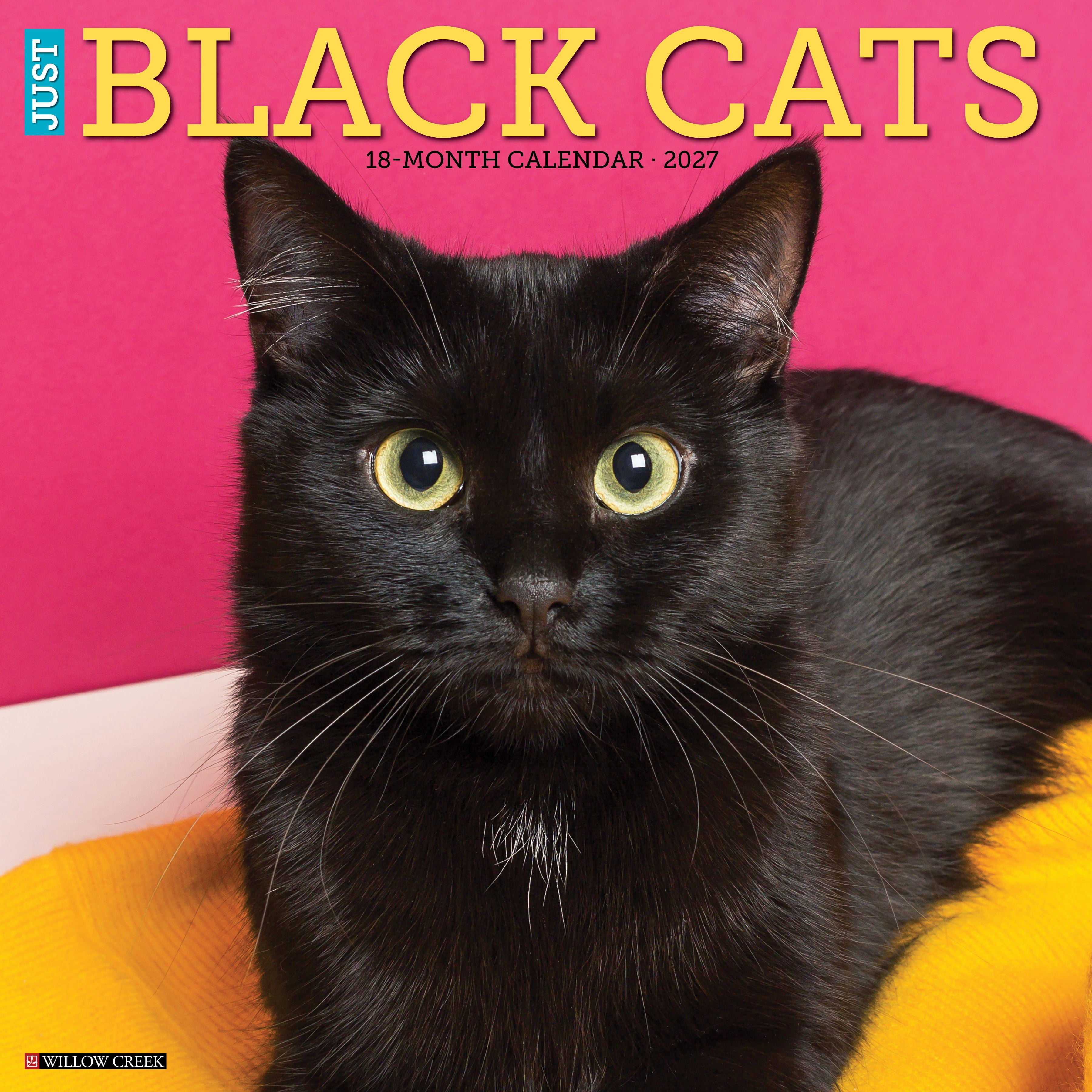 Willow Creek Press, Black Cats 2027 Wall Calendar