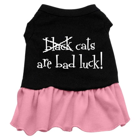 Halloween Pet Dog Cat Dress Screen Printed, "Black Cats Are Bad Luck"