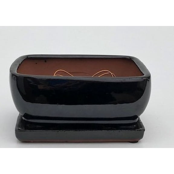 Black Ceramic Bonsai Flower Pot- Rectangle Professional Series With Attached Humidity/Drip Tray
