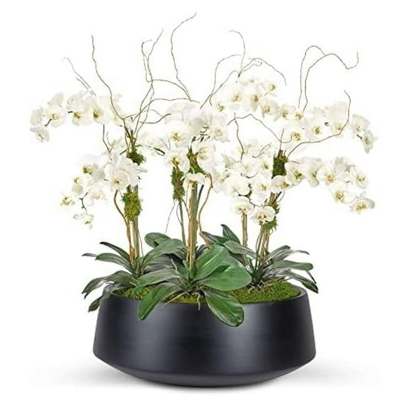 Black Ceramic Planter Bowl, 12" Round Flower Pot, Modern Indoor Outdoor Centerpiece, Contoured Design, 5" H