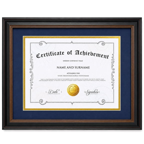 AEVETE 11x14 Diploma Frame with Blue over Gold Mat or Display 8.5x11 Certificate without Mat, Black with Gold Trim 1PACK
