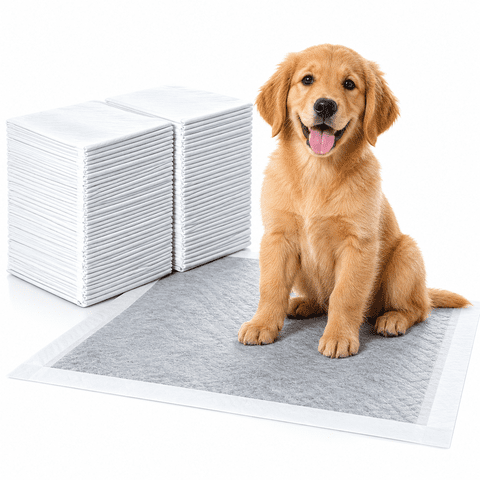 Charcoal Puppy Pads, 80 Count 23"x23" Dog Pee Pads,Odor Control, 5-Layer Leak-Proof Super Absorbent Quick-Dry Disposable Pads for Dogs(2 Pack)