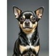 thumbnail image 1 of Black Chihuahua Diamond Art 5D Diamond Painting DIY Kits Full Round Drill Crystal by Number Mosaic Handmade Arts and Crafts for Home Wall Living Room Bedroom Decor 12x16 inch / 30x40cm, 1 of 4