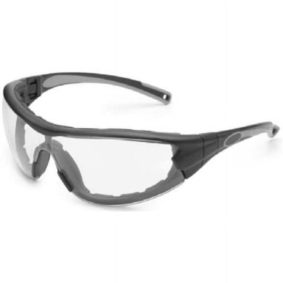 Black & Clear Fx3 Anti-Fog Swap Safety Glasses & Goggle with Foam