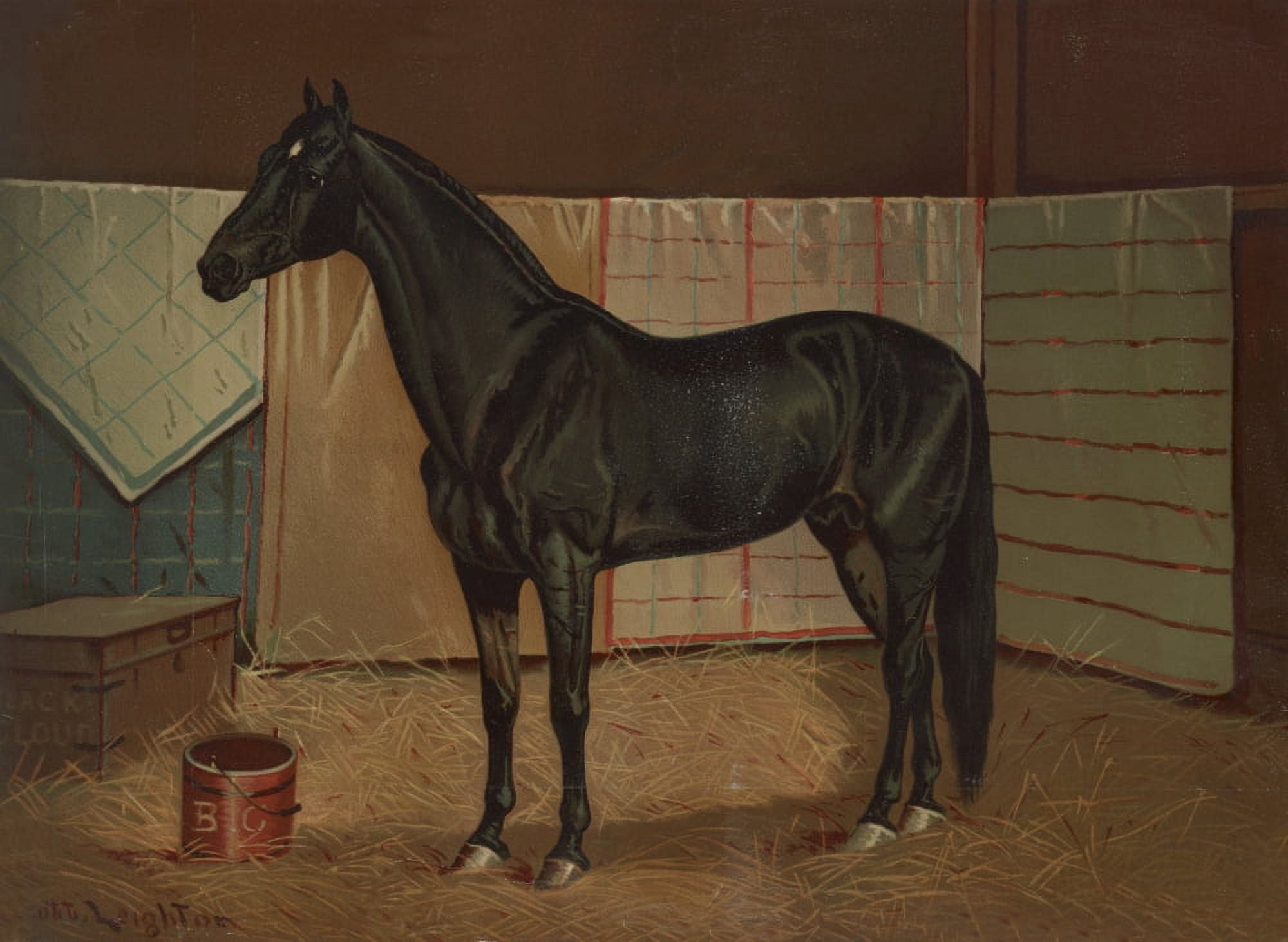 Black Cloud a horse in a stable c1882 Canvas Art - Scott Leighton (24 x 36)