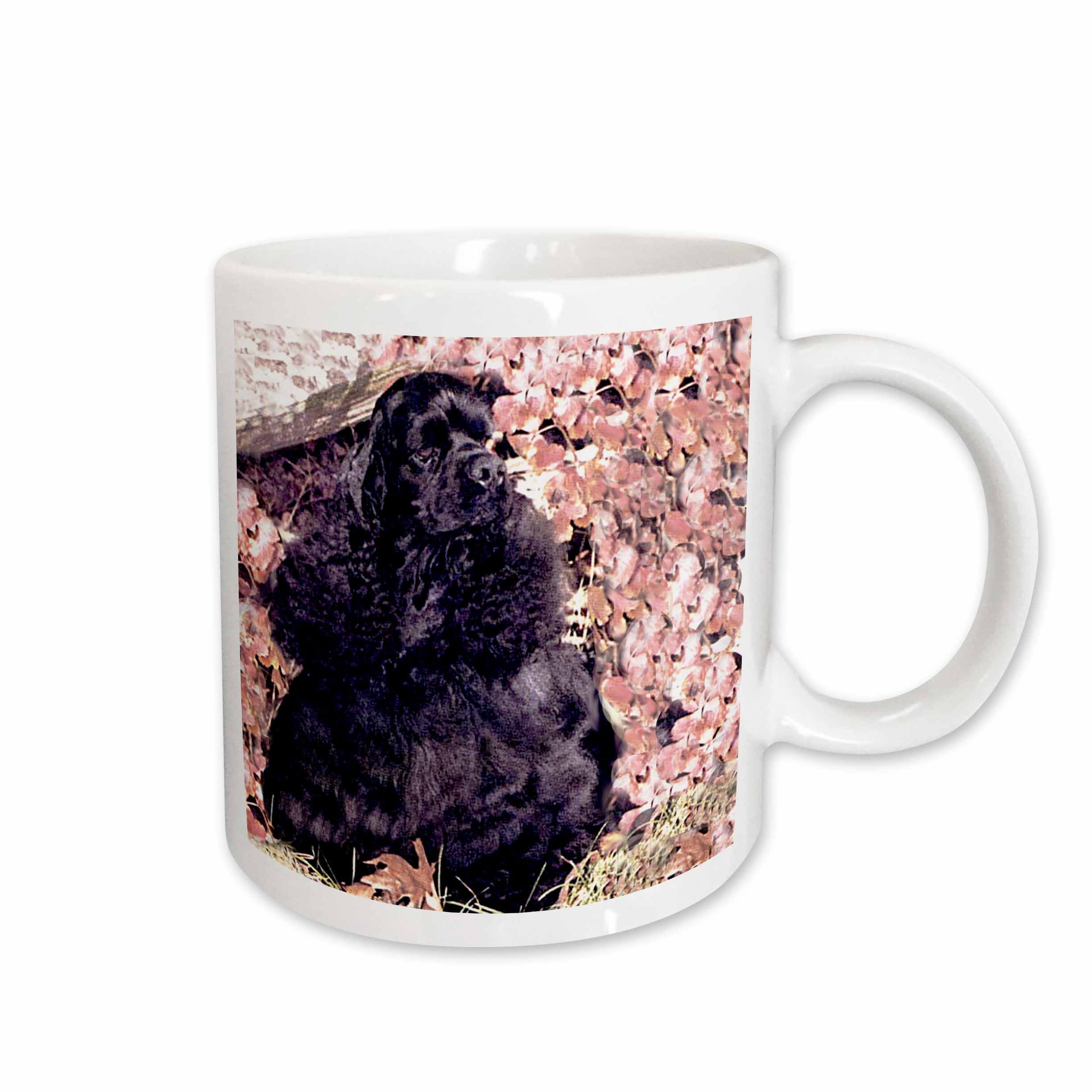 https://i5.walmartimages.com/seo/Black-Cocker-Spaniel-11oz-Mug-mug-801-1_6a143b04-b270-4633-bd41-1bd66f627a10.0cf81915d78829f5f6b8485859a768e2.jpeg