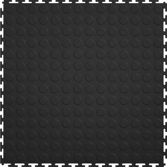 Black Coin Top 20.5-in x 0.25-in Interlocking Tiles (Case 8)