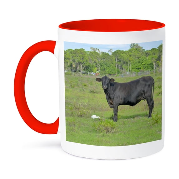 3dRose, Black Cow White Bird Green Grass, 11oz Two-Tone Red Mug