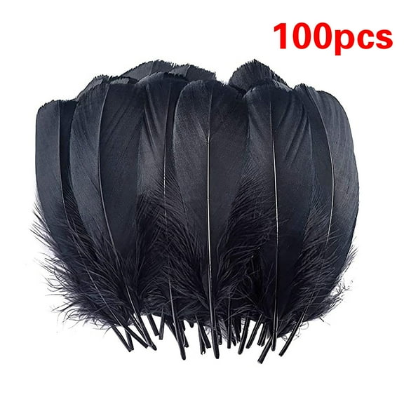 Black Craft Feathers Bulk,Black Feathers for Crafts,Feathers Bulk - 100pcs Natural Feathers for Wedding Home,Dream Catcher Supplies,DIY Crafts and Halloween Holiday Party(Black)