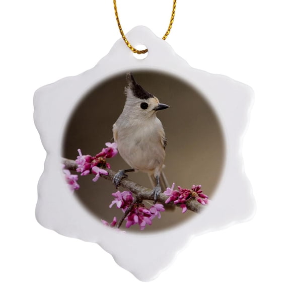 3drose, Black-crested Titmouse Bird, Hill Country, Texas - Na02 Rnu0022 - Rolf Nussbaumer, 3 inch Snowflake Porcelain Ornament