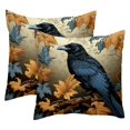 Black Crow Throw Pillow Covers, Set of 2 Square Pillowcase Decorative