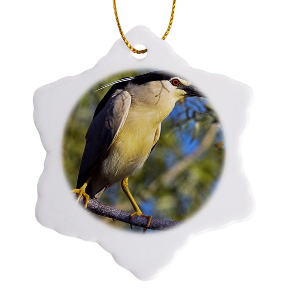 3drose, Black-crowned Night Heron Bird, Danube Delta Romania - Eu24 Mzw0055 - Martin Zwick, 3 inch Snowflake Porcelain Ornament