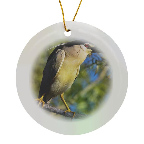 3drose, Black-crowned Night Heron Bird, Danube Delta Romania - Eu24 Mzw0055 - Martin Zwick, Circle Porcelain Ornament