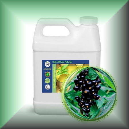 Black Currant Seed Oil for Skin