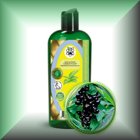 Black Currant Seed Oil for Skin
