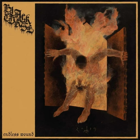Black Curse - Endless Wound - Music & Performance - CD