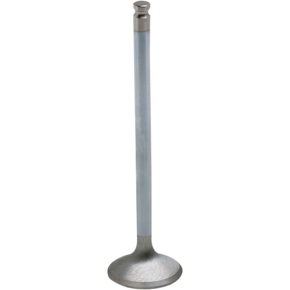 Black Diamond Engine Intake Valve