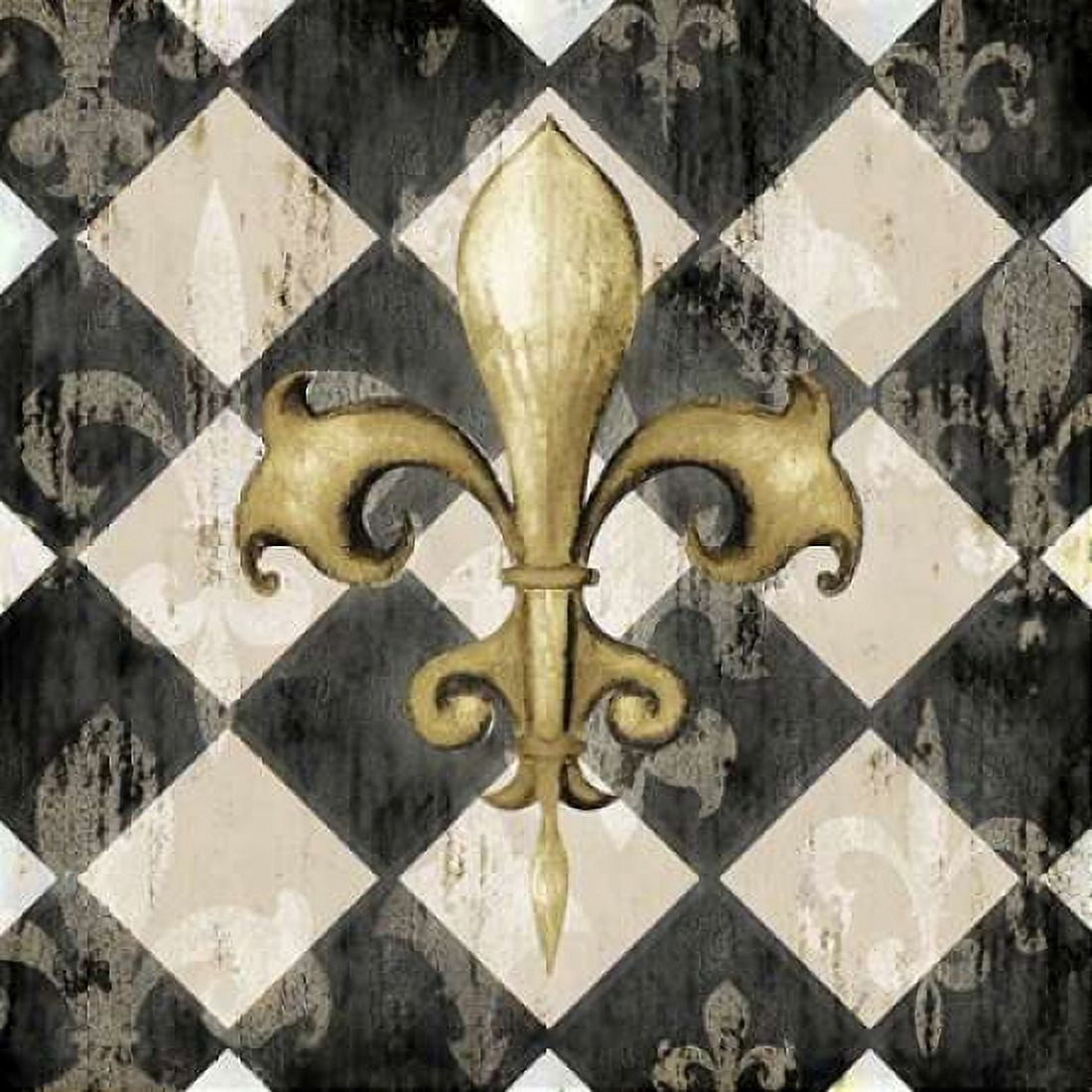 Black Diamond Fleur de Lys II Canvas Art - Hugo Edwins (24 x 24)