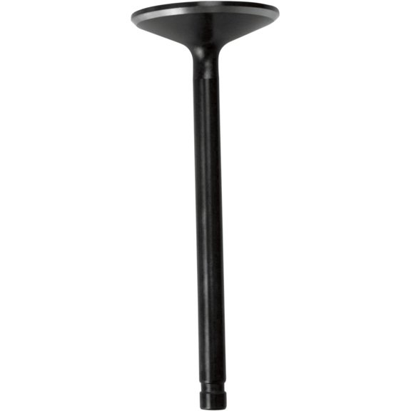 Black Diamond Intake Valve - 1200 Conversion