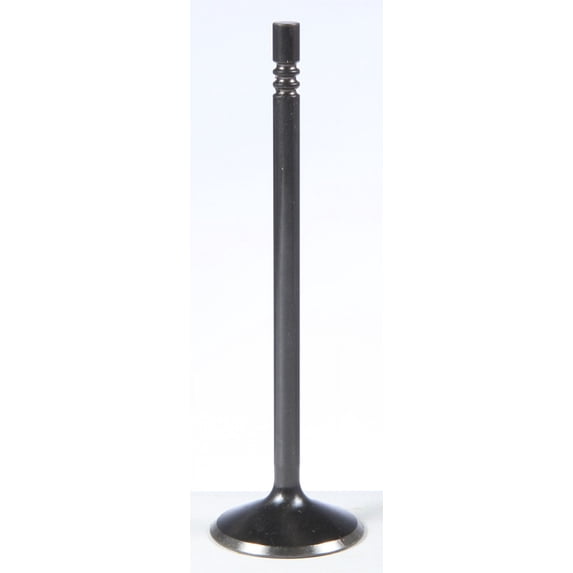 Black Diamond Intake Valve, Standard (35mm)
