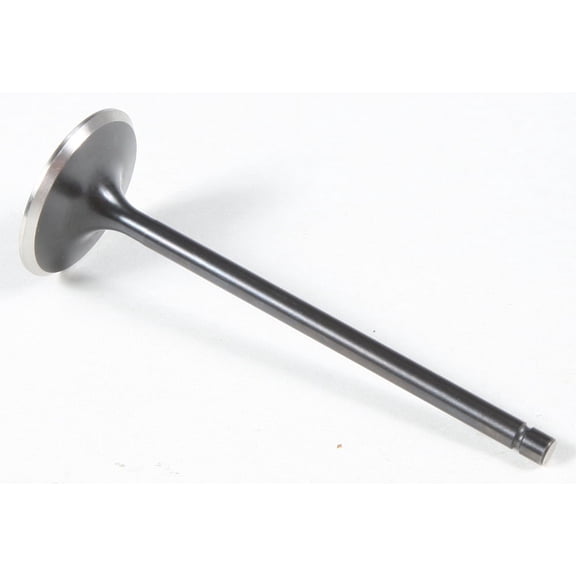 Black Diamond Intake Valve