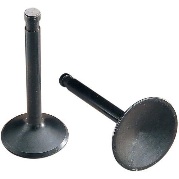 Black Diamond Intake Valve