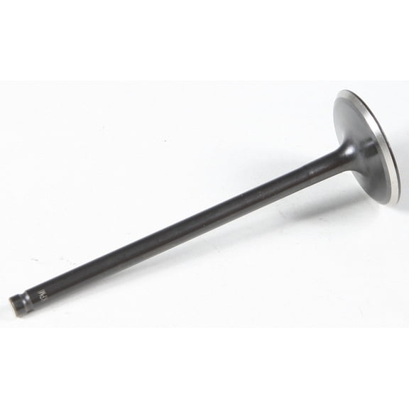 Black Diamond Intake Valve