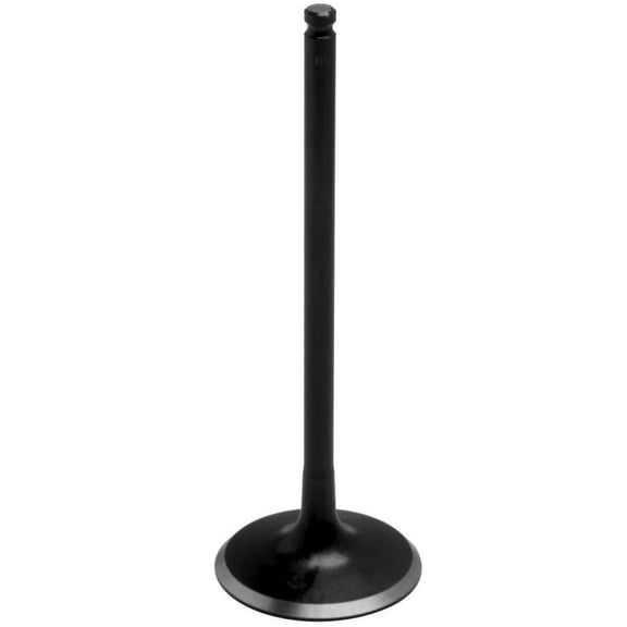 Black Diamond Stainless Engine Intake Valve (Std)