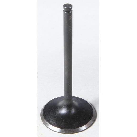 Black Diamond Stainless Intake Valve (Std)