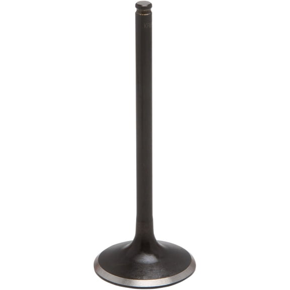 Black Diamond Standard Intake Valve (Std)
