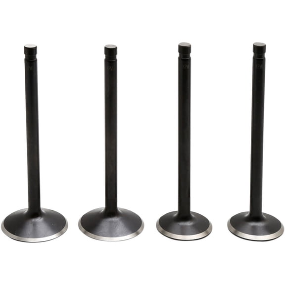 Black Diamond Valve Kit