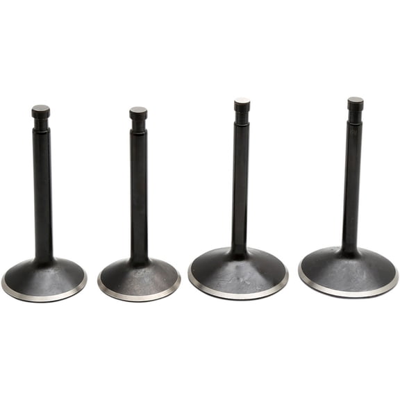 Black Diamond Valve Kit