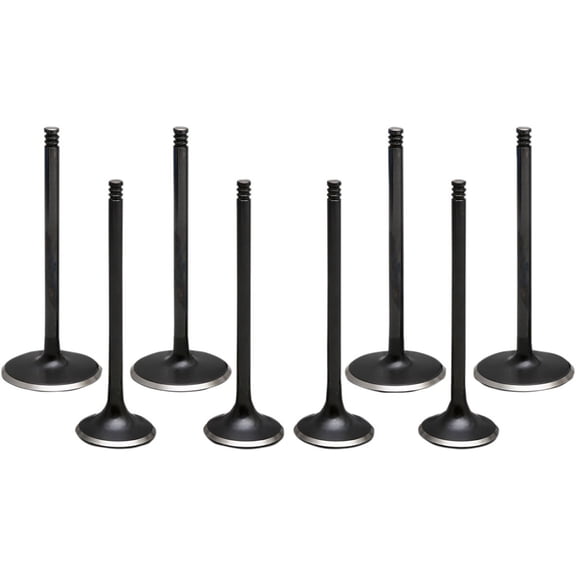 Black Diamond Valve Kit