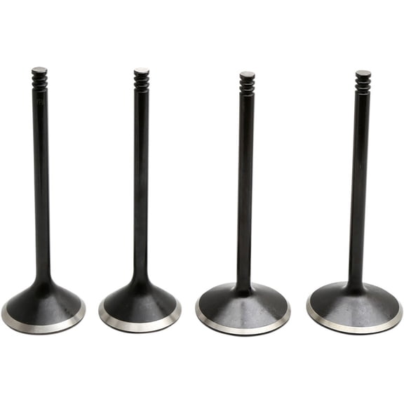 Black Diamond Valve Kit