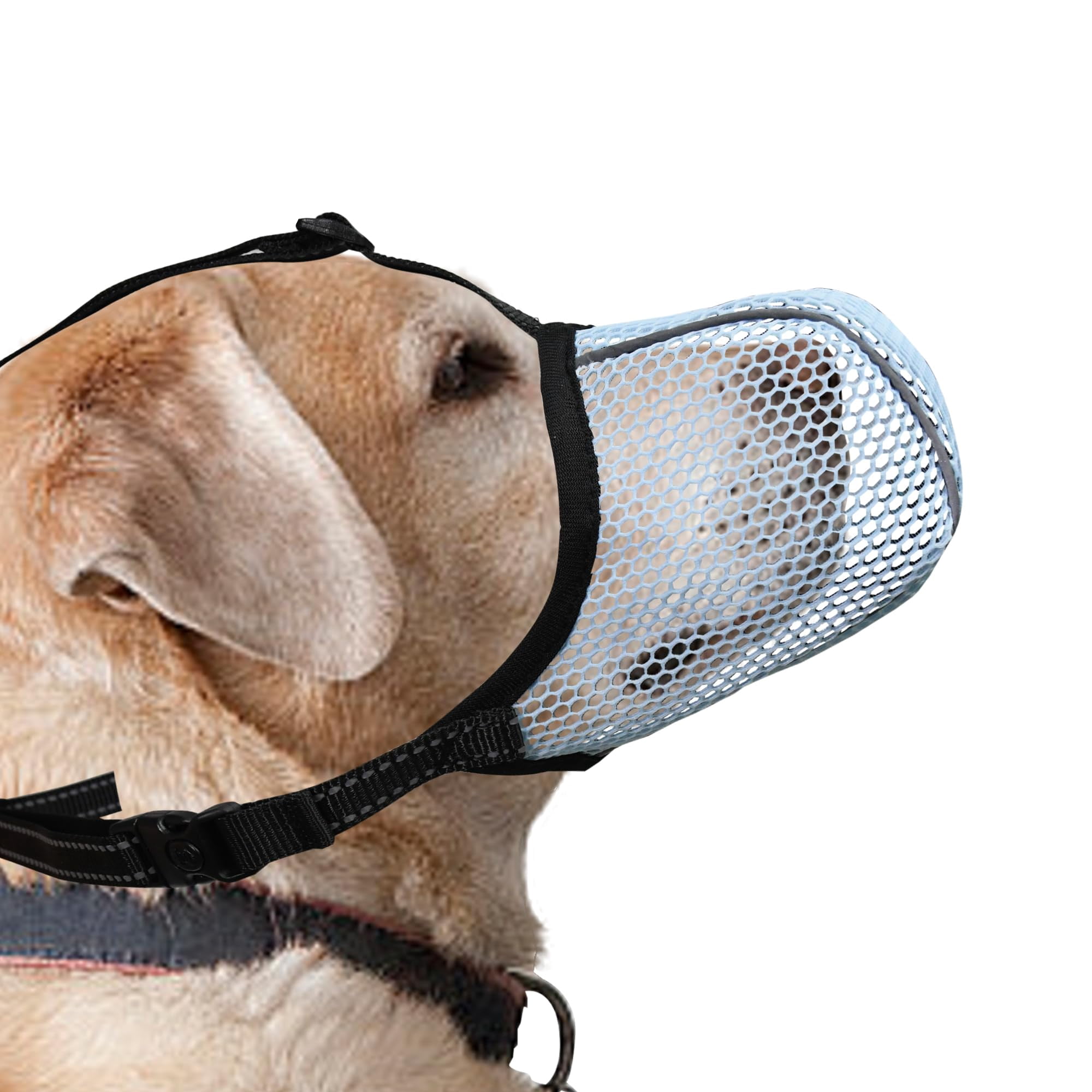 Black Dog Muzzle, Breathable Soft for Small Dogs to Anti & Prevent ...