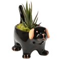 thumbnail image 1 of Black Dog Planter, 1 of 1