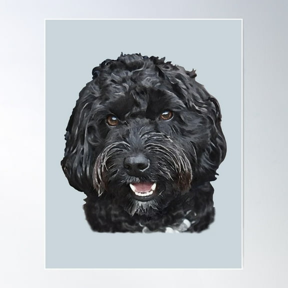 Black Doodle / Cockapoo Dog Poster, 24x36 UNFRAMED