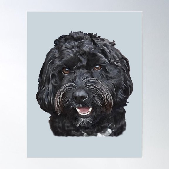 Black Doodle Cockapoo Dog Poster Home Decor Office Wall Art