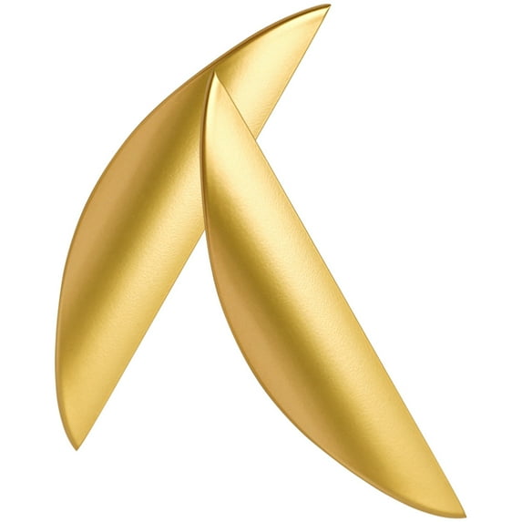 VORCOOL 2Pcs Cabinet Handles Golden Metal Pull Handles for Kitchen Cupboard Drawer Replacement Home